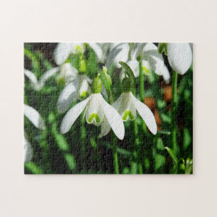 Winter Snowdrops Spring Flower Bulb Bouquet Legpuzzel