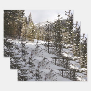 Winter Snowy Mountain Scene in Montana Inpakpapier Vel