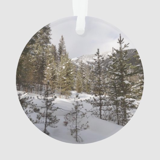 Winter Snowy Mountain Scene in Montana Ornament (achterkant)