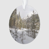 Winter Snowy Mountain Scene in Montana Ornament (voorkant)