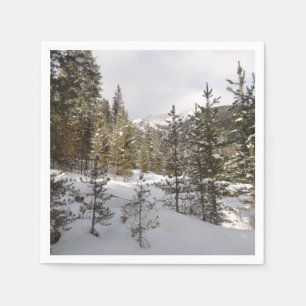 Winter Snowy Mountain Scene in Montana Servet