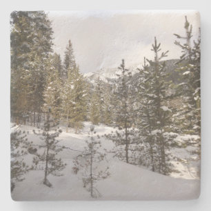 Winter Snowy Mountain Scene in Montana Stenen Onderzetter