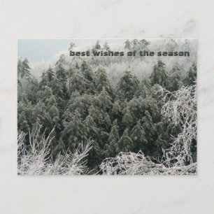 Winter Solstice Briefkaart