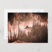 Winter Solstice Briefkaart (Voorkant / Achterkant)