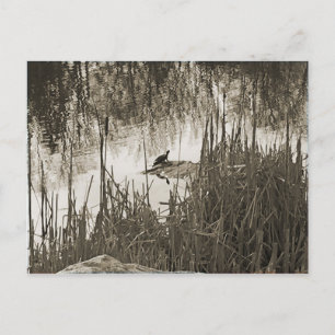 Winter Solstice Briefkaart