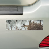 Winter Solstice Bumpersticker (Op auto)