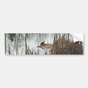 Winter Solstice Bumpersticker