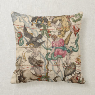 Winter Solstice Kussen