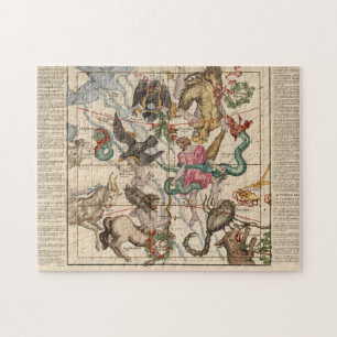 Winter Solstice Legpuzzel