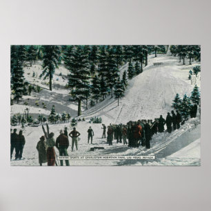 Winter Sport Scene in Charleston Mountain Poster