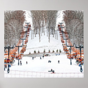 Winter Sport Skiende Wall Art Poster