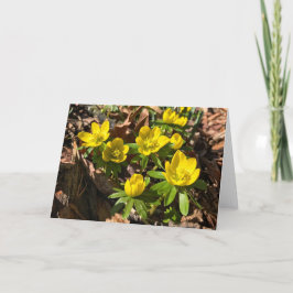 Winter / Spring Wenskaart (leeg van binnen) Feestdagen Kaart