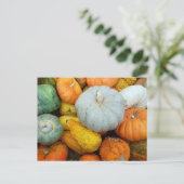 WINTER SQUASH BRIEFKAART (Staand voorkant)