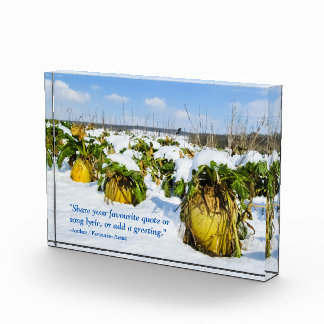 Winter Squash in Snow - Gepersonaliseerd Fotoblokken