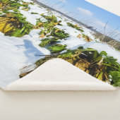 Winter Squash in Snow - Gepersonaliseerd Sherpa Deken (3/4)