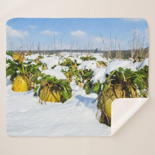 Winter Squash in Snow - Gepersonaliseerd Sherpa Deken (Voorkant (horizontaal))