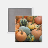 Winter Squash Magnet Magneet (Voorkant / Achterkant)