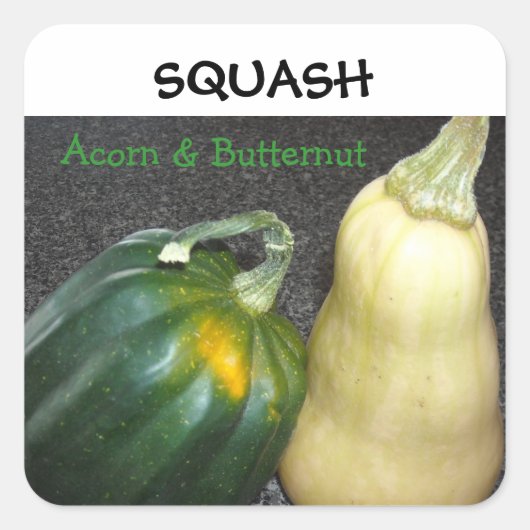 Winter Squash Vierkante Sticker (Voorkant)