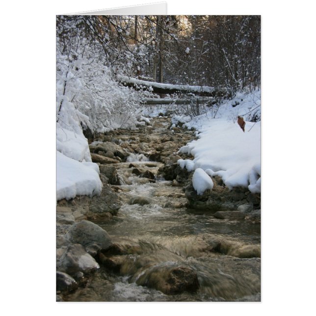 Winter Stream (Voorkant)