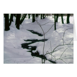 Winter Stream