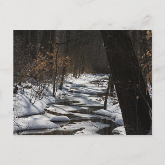 Winter Stream Briefkaart (Voorkant)