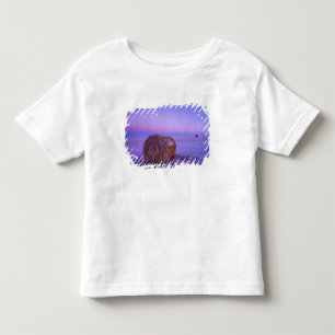 Winter strobalen bij Cartwright North Kinder Shirts