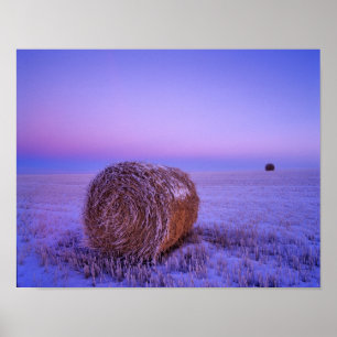 Winter strobalen bij Cartwright North Poster