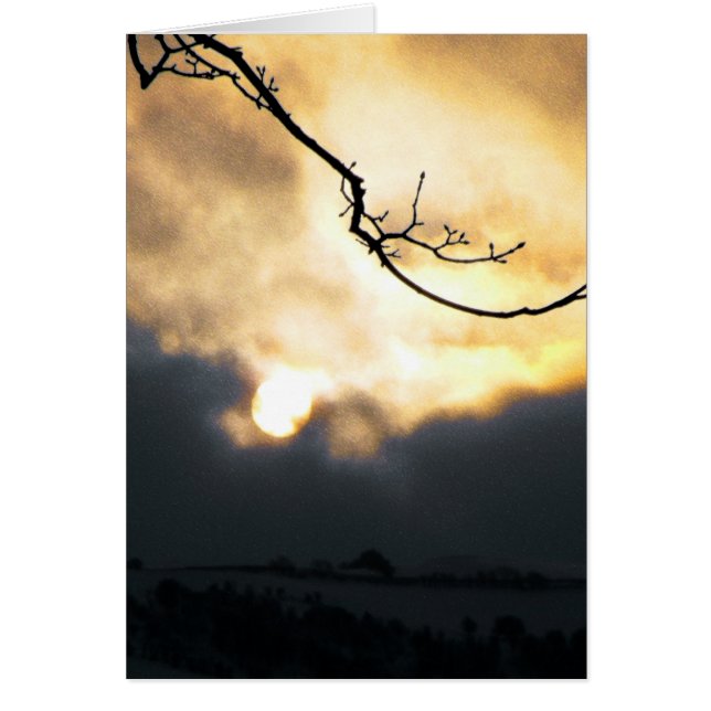 Winter Sun (Voorkant)