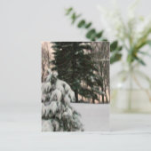 Winter Sun Briefkaart (Staand voorkant)