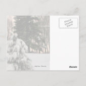 Winter Sun Briefkaart (Achterkant)