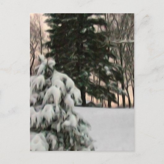 Winter Sun Briefkaart (Voorkant)