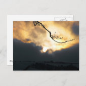 Winter Sun Briefkaart (Voorkant / Achterkant)