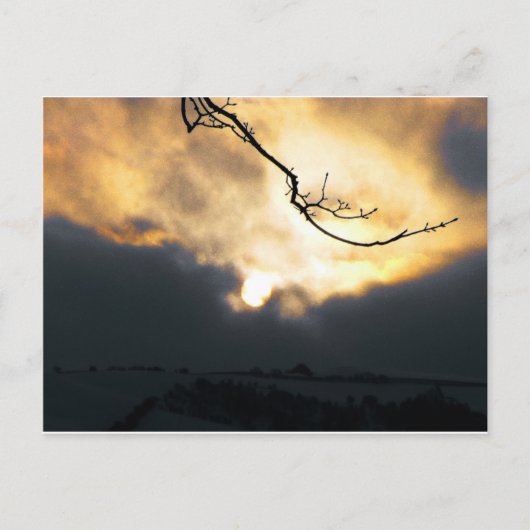 Winter Sun Briefkaart (Voorkant)