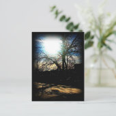 Winter Sun Briefkaart (Staand voorkant)