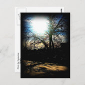 Winter Sun Briefkaart (Voorkant / Achterkant)