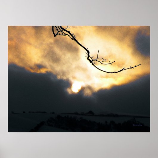 Winter Sun Poster (Voorkant)