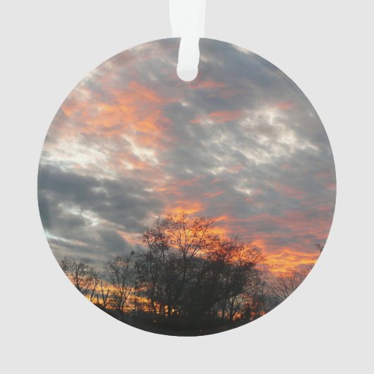 Winter Sunset Nature Paysage Photographie (dos)
