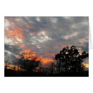 Winter Sunset Natuur Landscape Photography