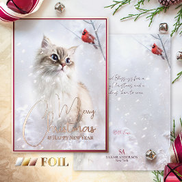 Winter Tales, Kitten en Rood Kardinaal Bird in Sno Folie Feestdagenkaart