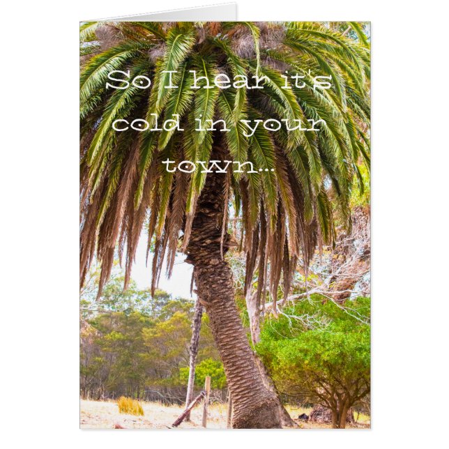 Winter Tease (Voorkant)