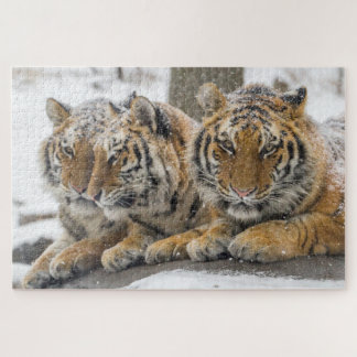 Winter Tigers Cuddle in Snow Legpuzzel