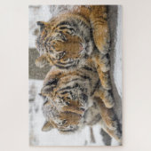 Winter Tigers Cuddle in Snow Legpuzzel (Verticaal)