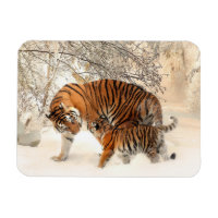 Winter Tigers magnet