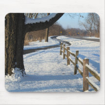 Winter Trail & Fence natuur foto