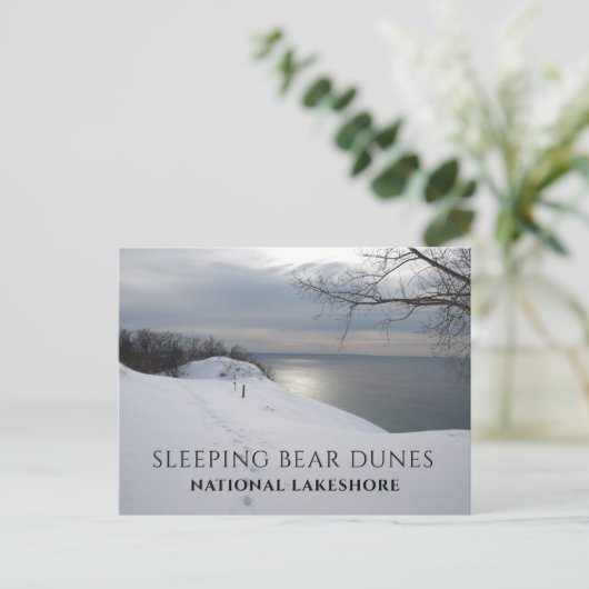Winter Trail Lake Michigan, SLeeping Beer Dunes Briefkaart (Staand voorkant)