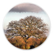 WINTER TREE KERAMISCHE KNOP (Voorkant)