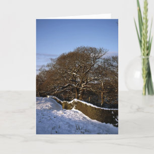 Winter Tree Lyme Handley Cheshire Feestdagen Kaart