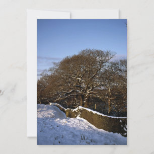 Winter Tree Lyme Handley Cheshire Holiday Card Feestdagenkaart