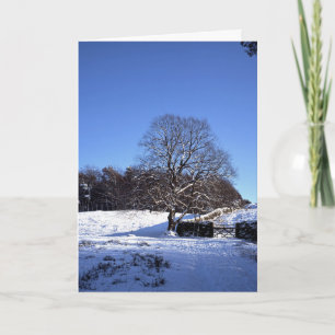Winter Tree Lyme Park Holiday Card Kaart