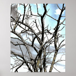 WINTER TREE POSTER